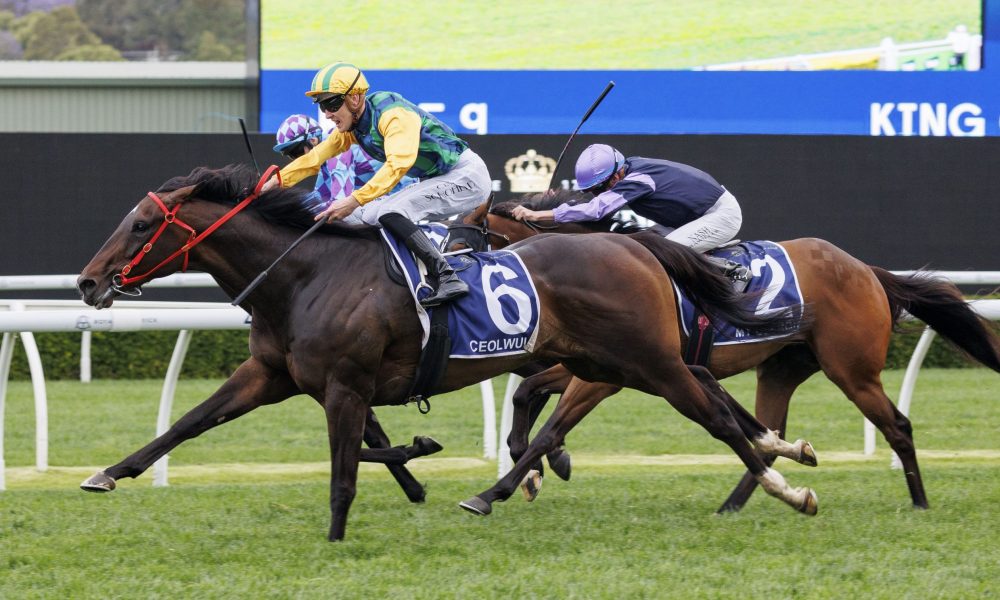 现出的状态 现出的状态